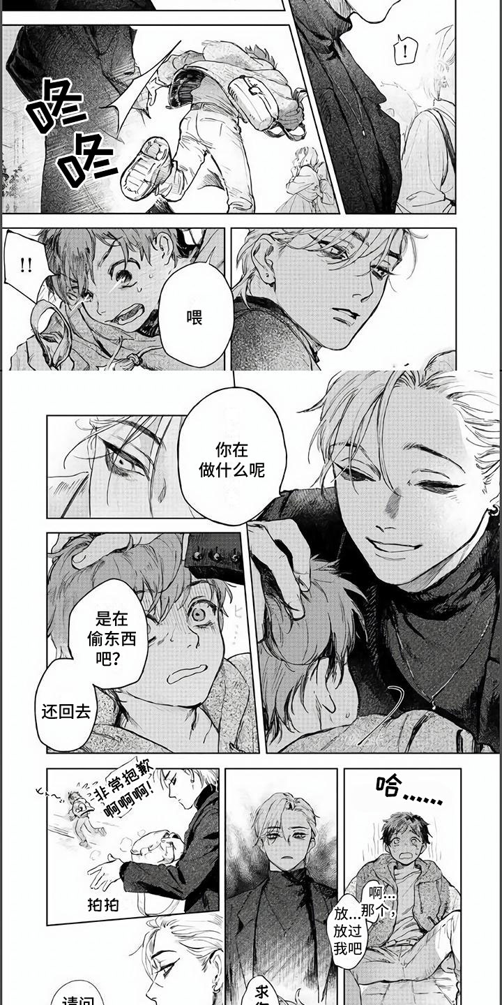 第1章：命定的相遇6