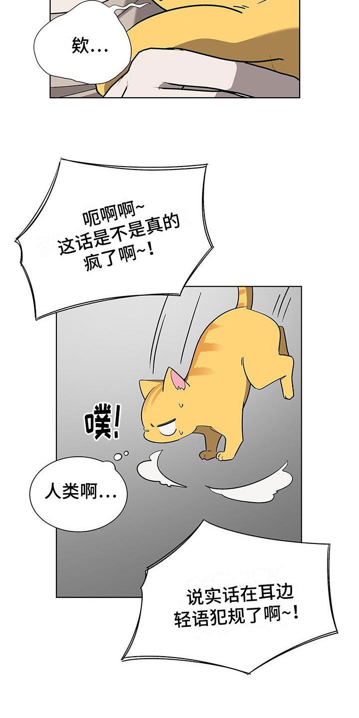 第17章：怪吓人的9