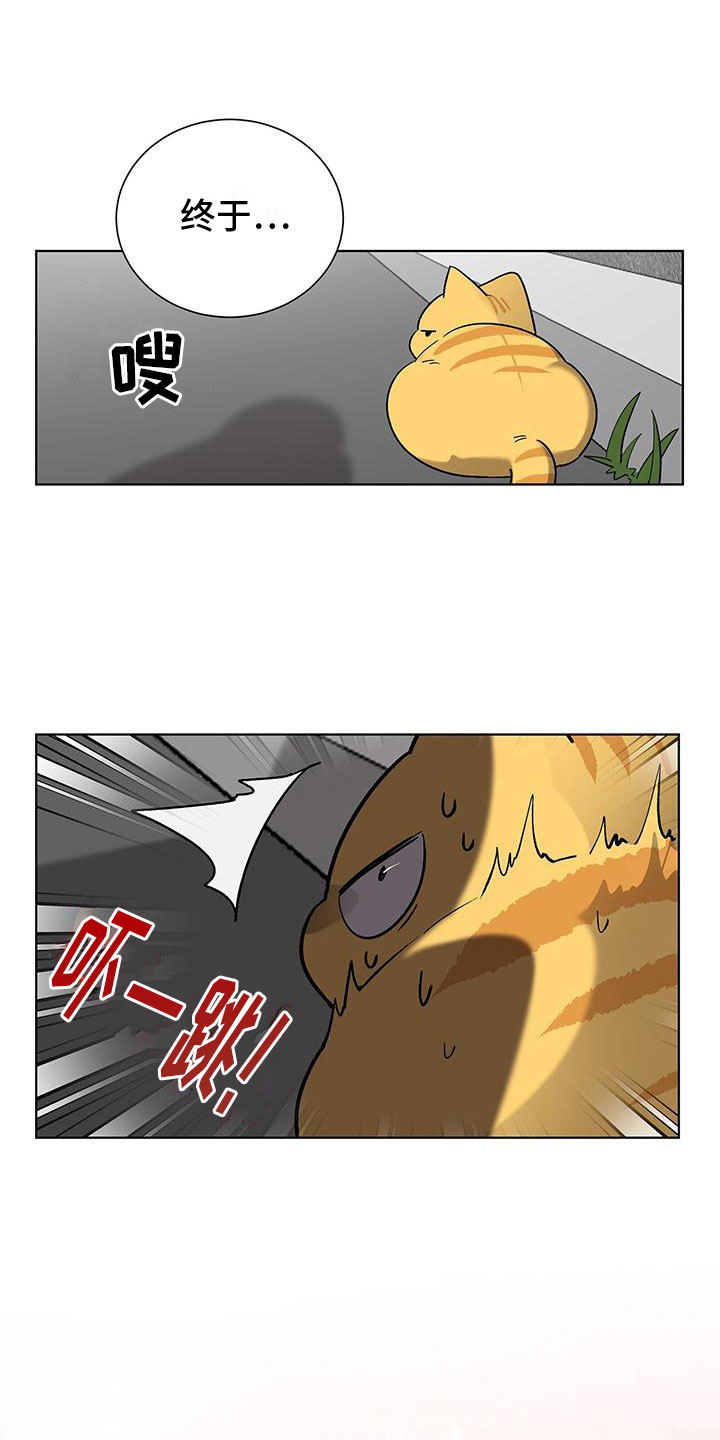第17章：怪吓人的6