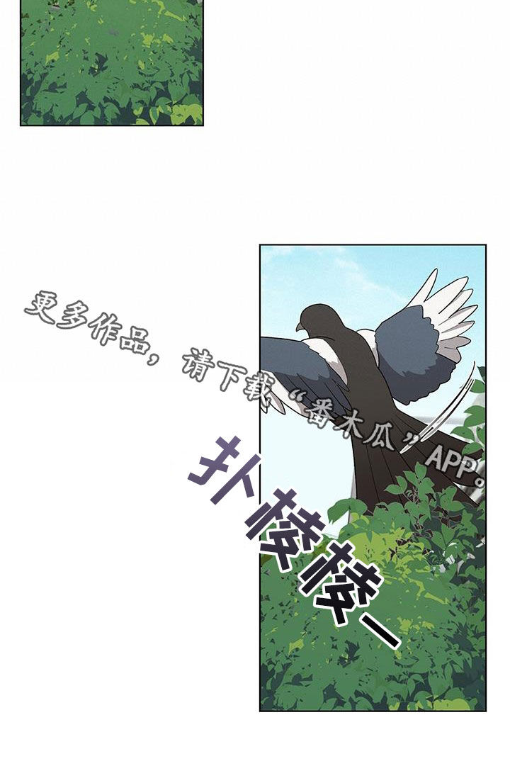 第19章：请你离开30