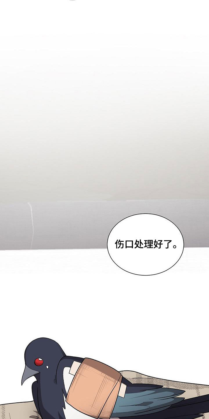 第27章：治疗16