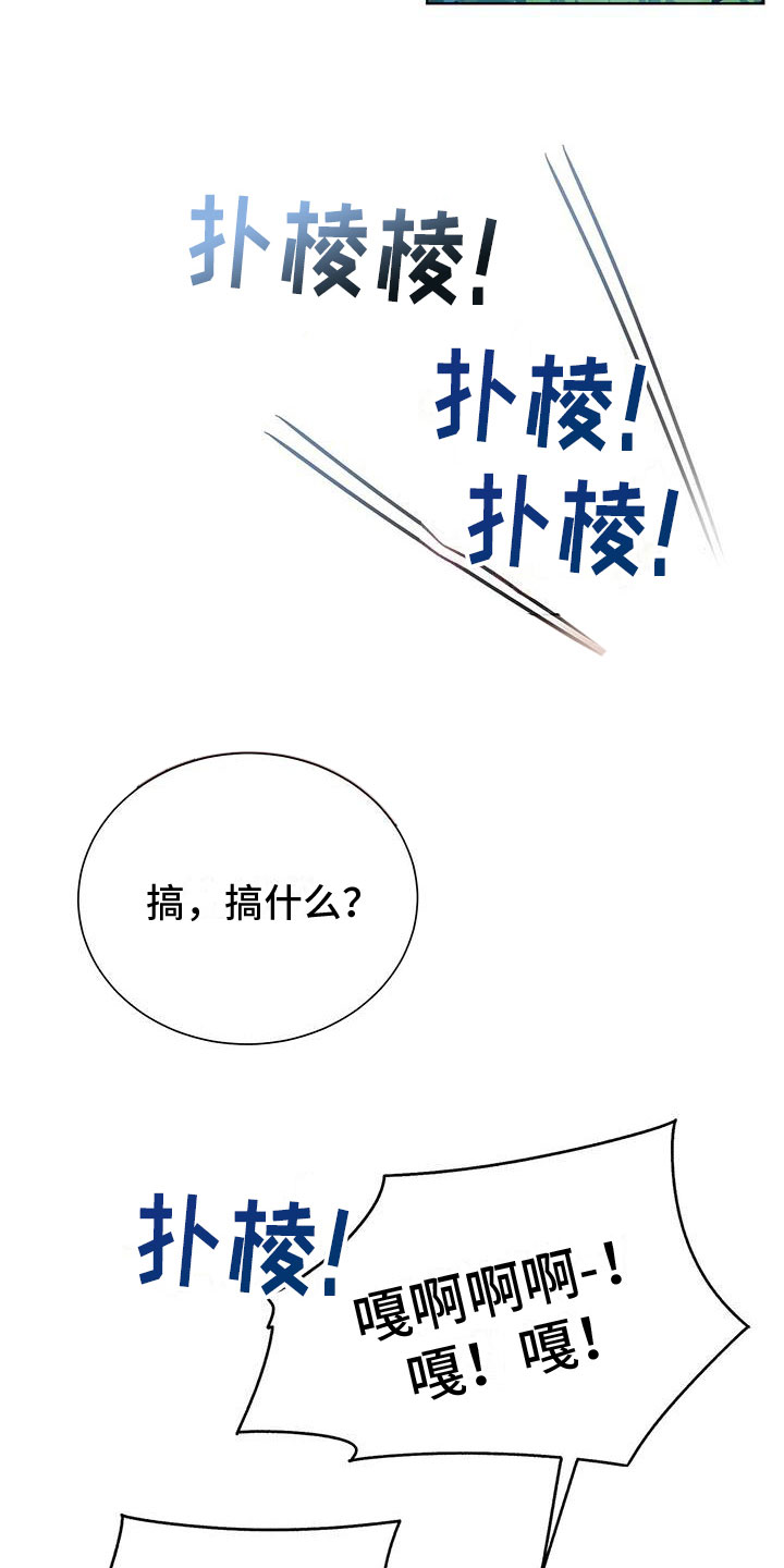 第1章：喜鹊救场19