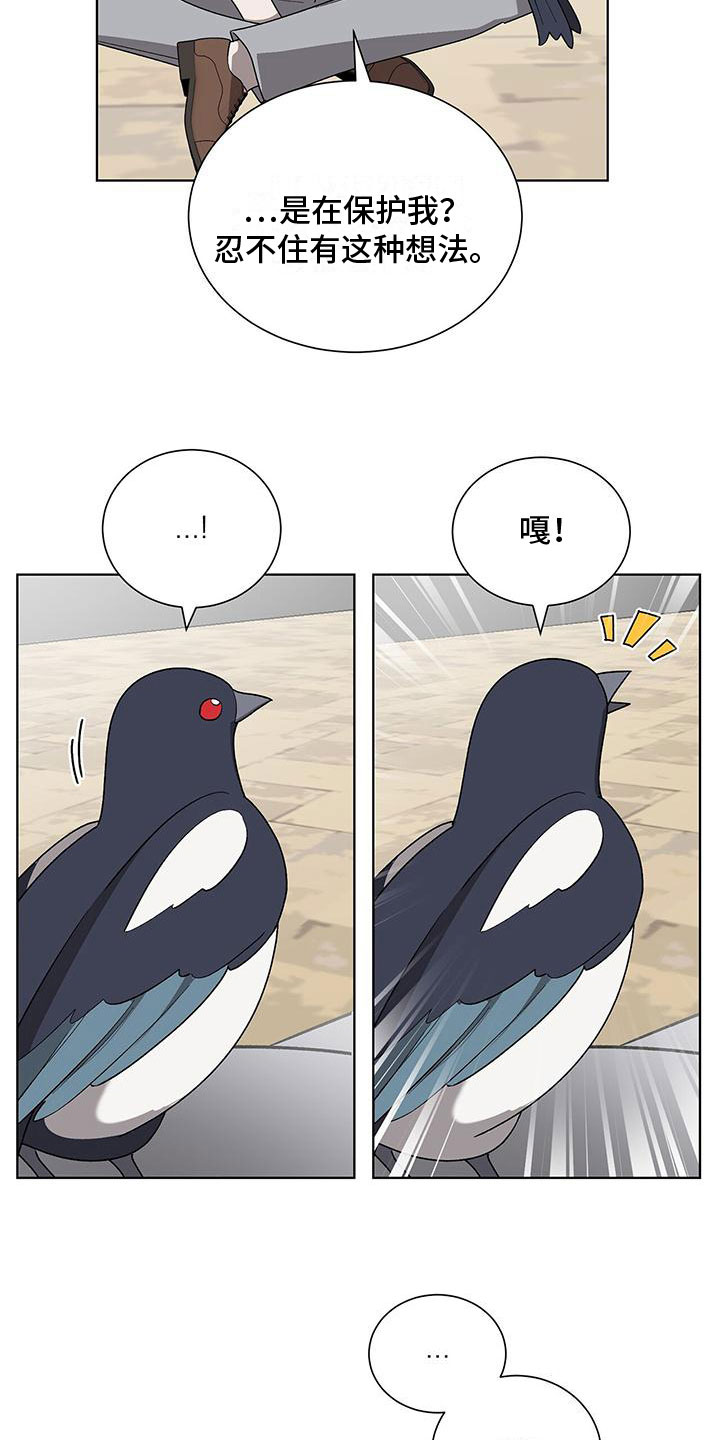 第2章：帅哥登场2