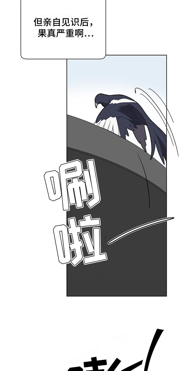 第5章：疯了吧3