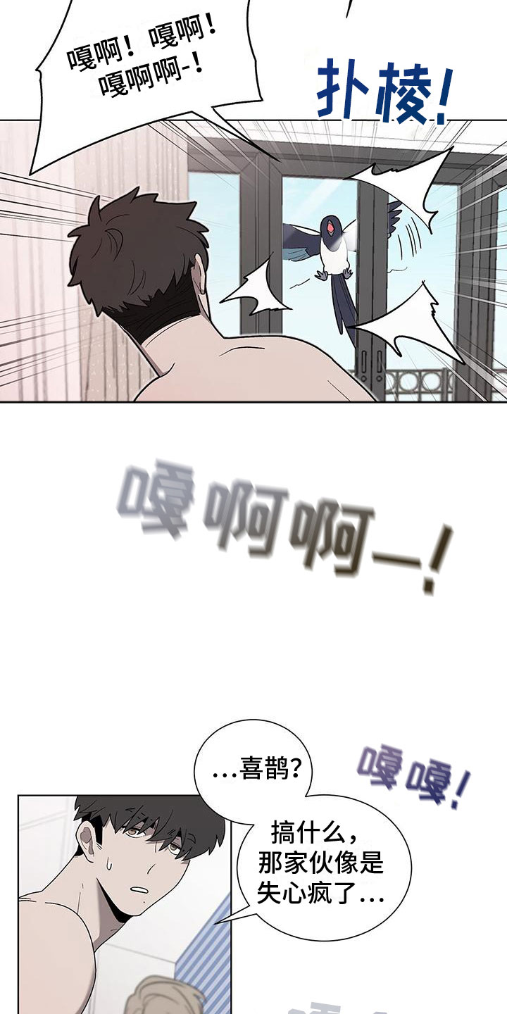第1章：喜鹊救场20
