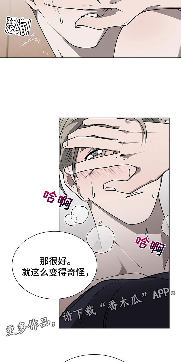 第18章：变得奇怪28
