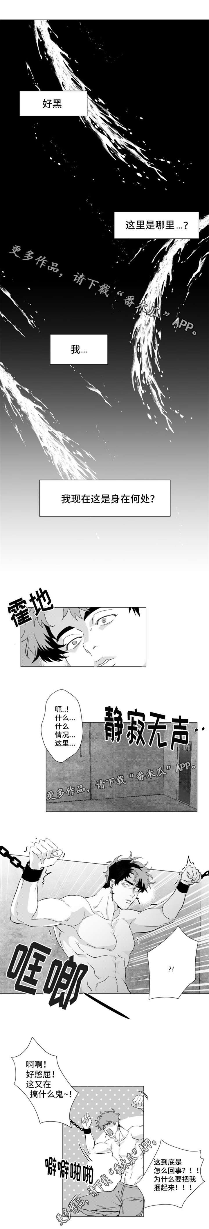 第18章：我身在何处？0