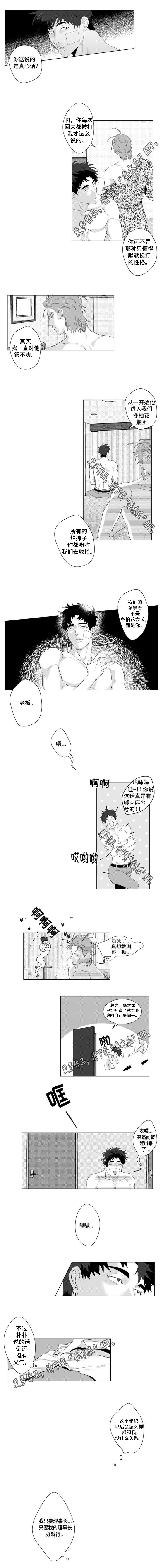 第17章：因为我喜欢你1
