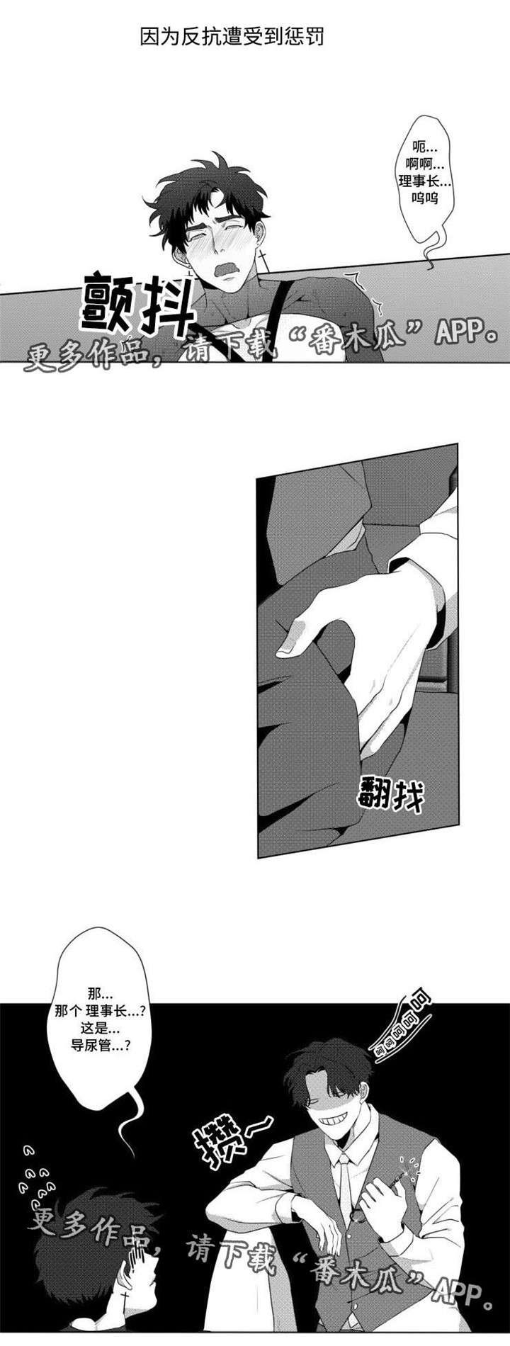 第15章：惩罚0