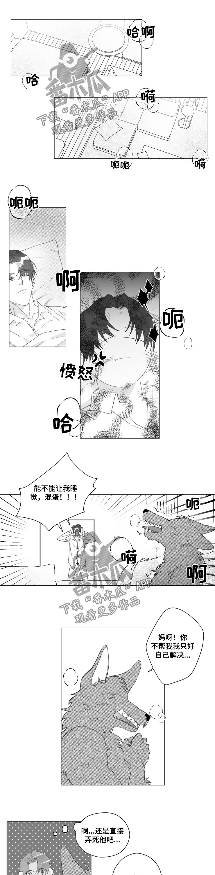 第39章：想试试看5