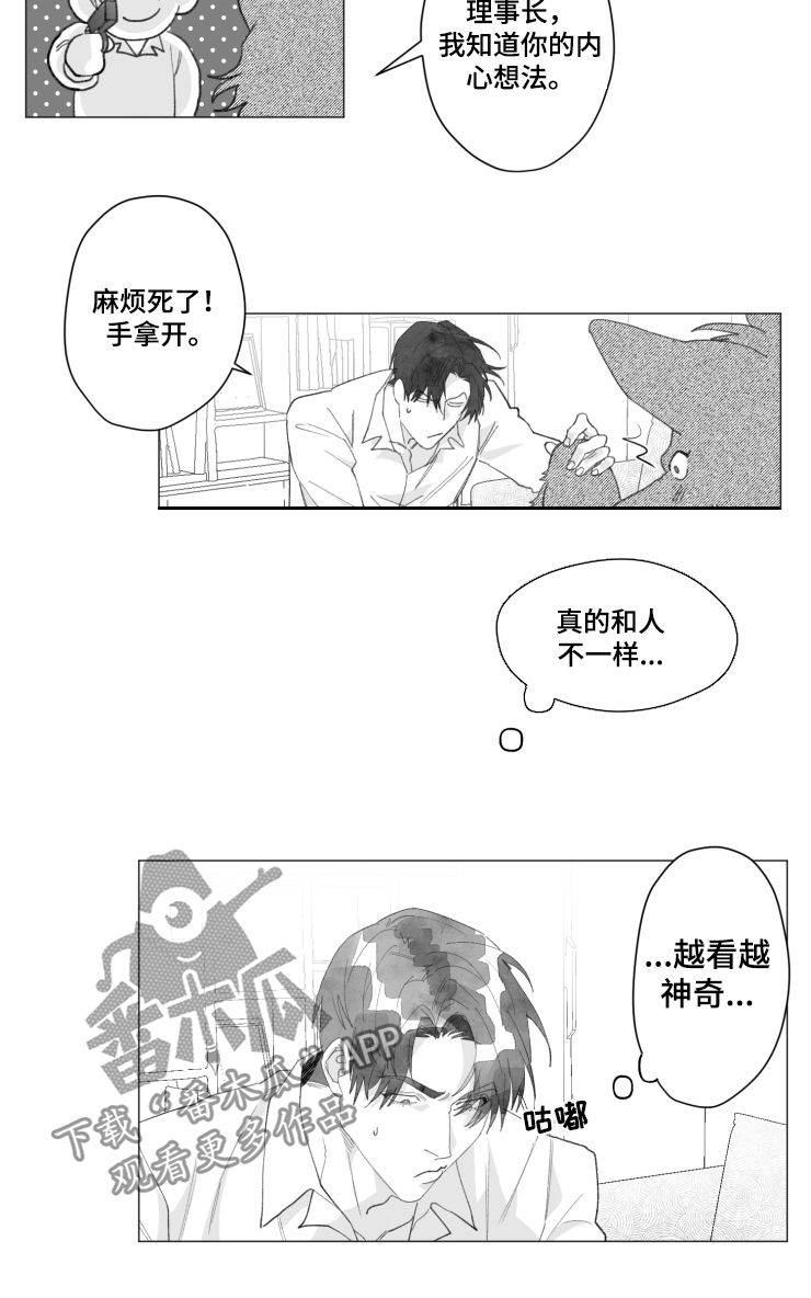 第39章：想试试看6