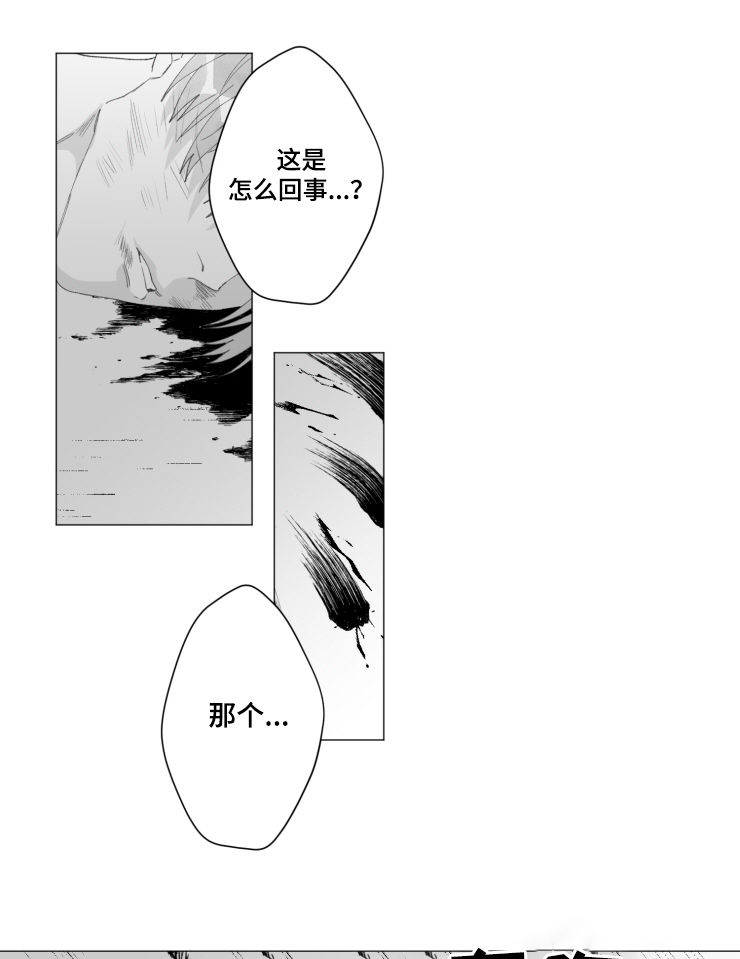 第42章：销声匿迹4