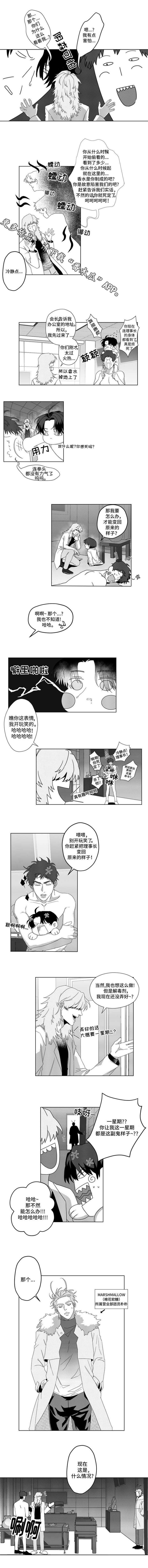 第5章：怪才发明家2