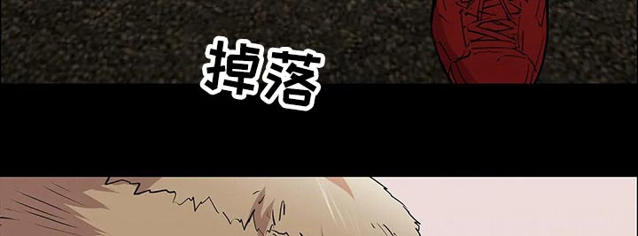 第51章：偷袭5
