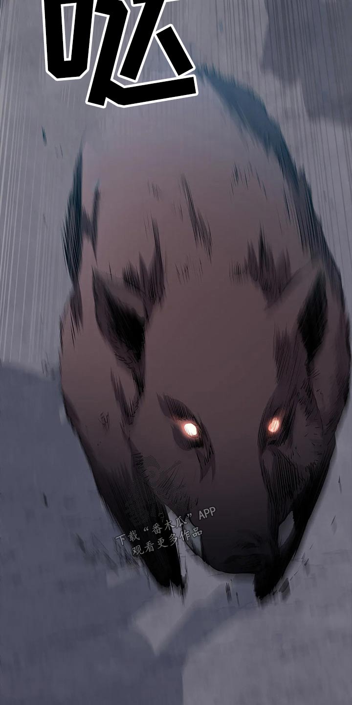 第44章：野猪10