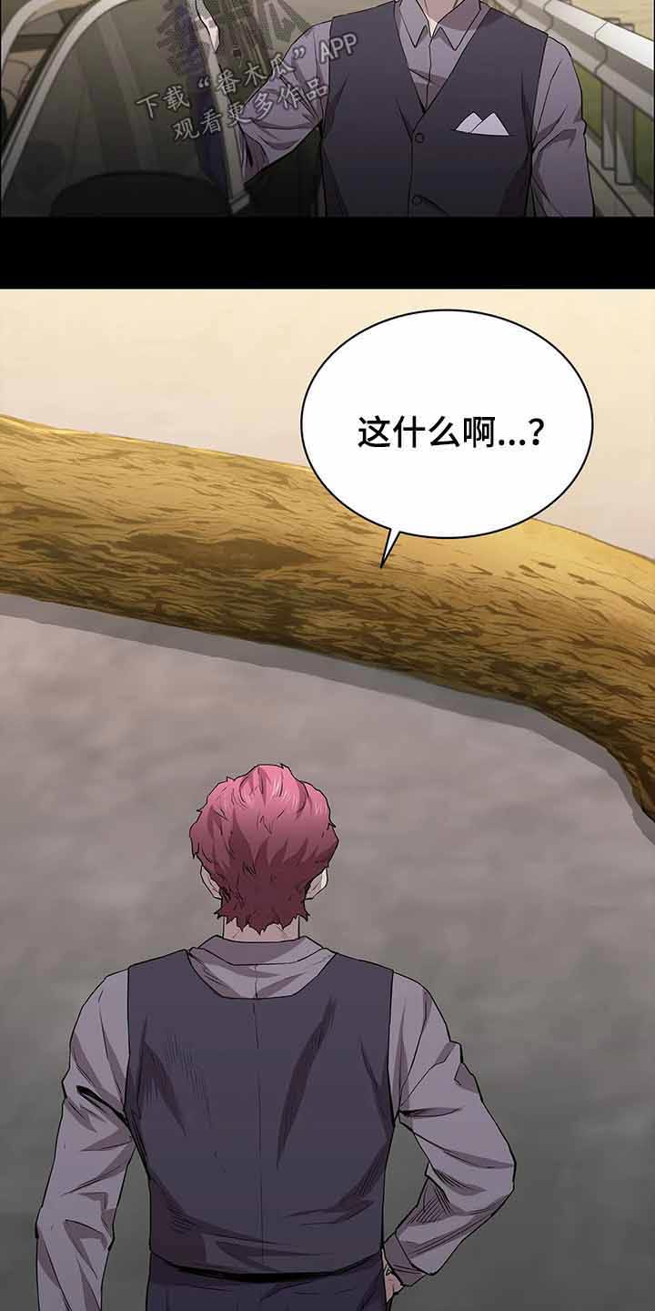 第55章：埋伏24