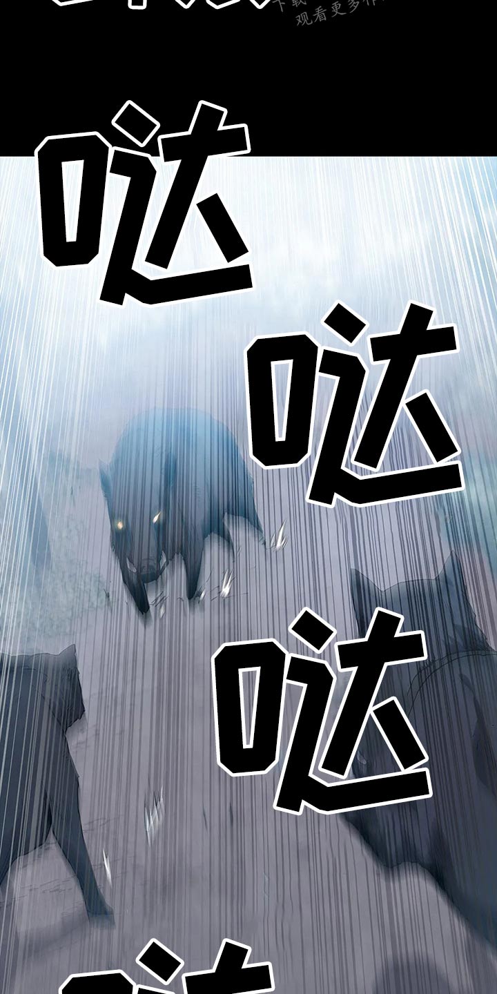 第44章：野猪9