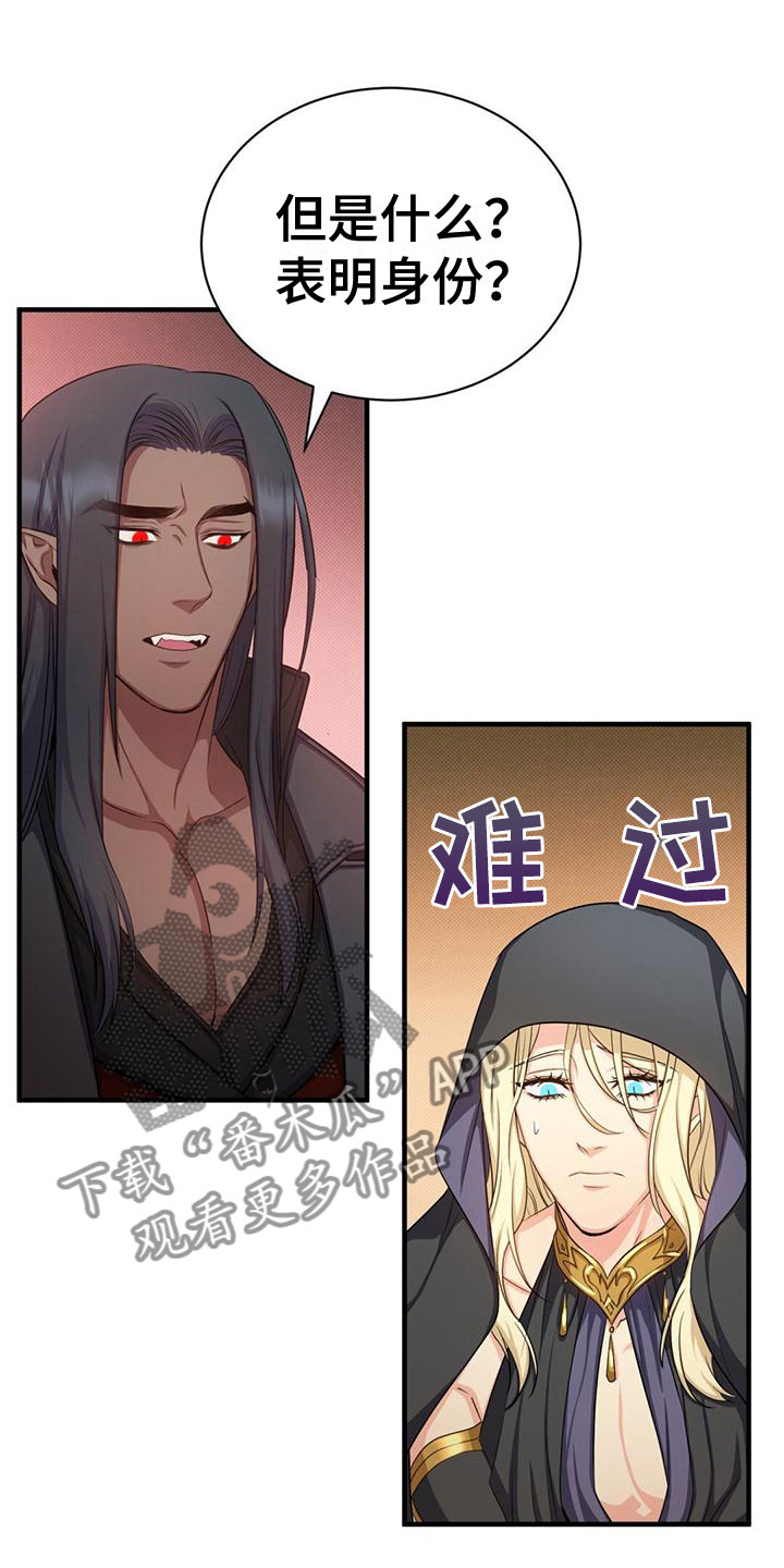 第29章：隐藏身份15