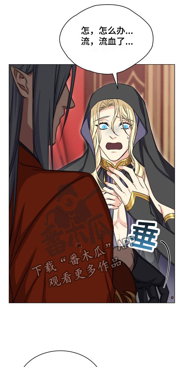 第37章：宠物15