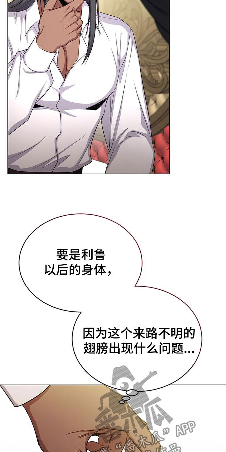 第78章：翅膀34