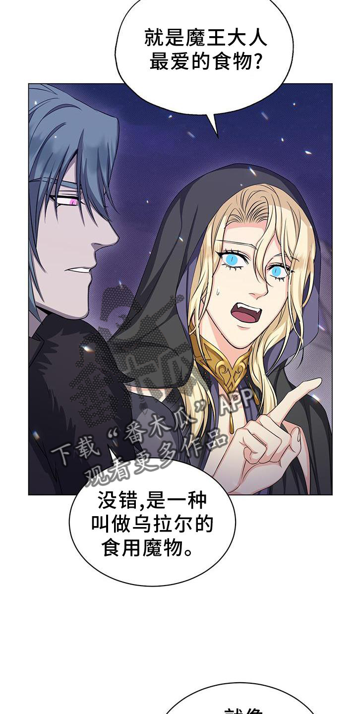 第43章：魔力4