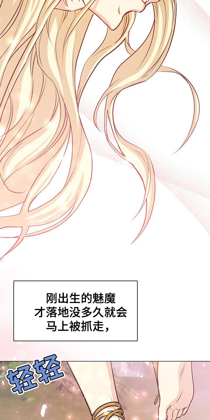 第95章：作战会议8