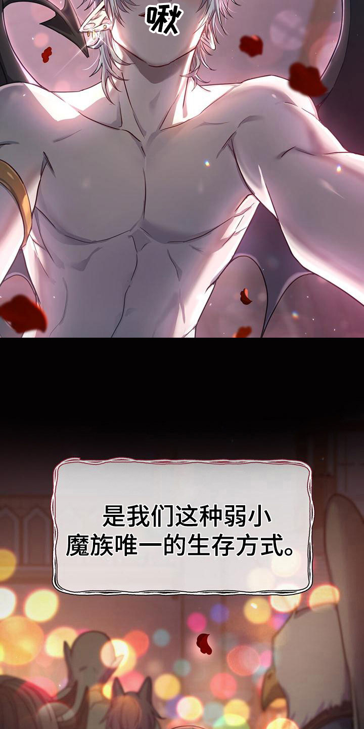 第6章：魅魔10