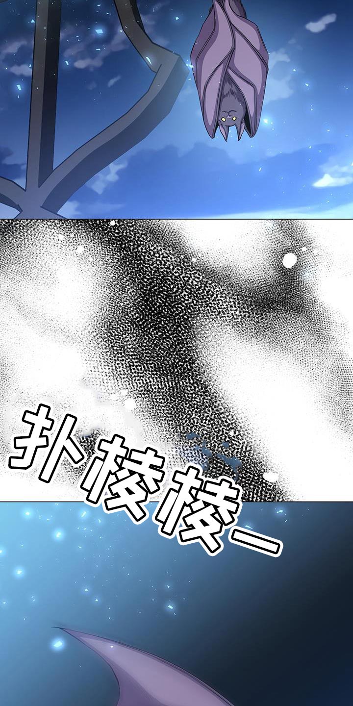 第95章：作战会议41