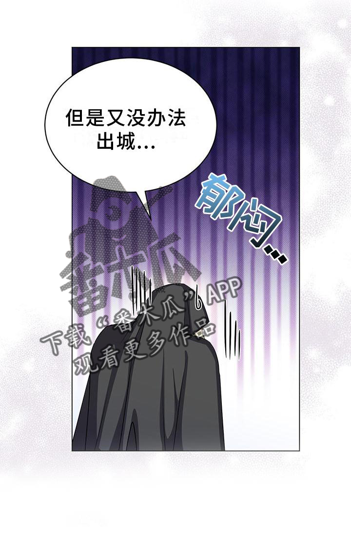 第41章：私会17