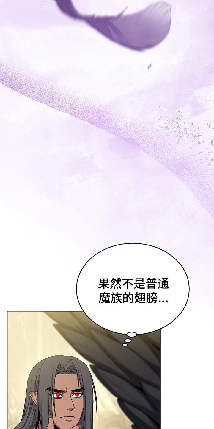 第78章：翅膀33
