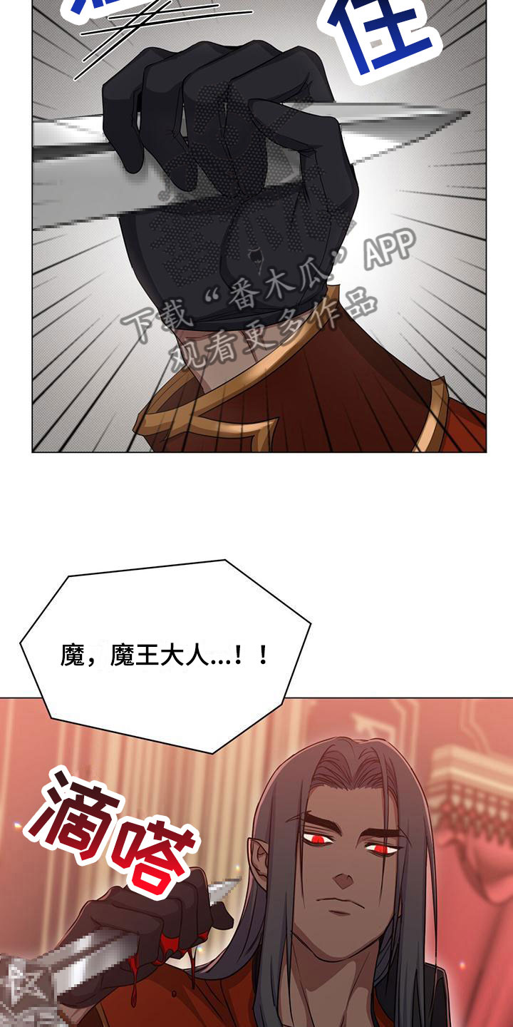 第37章：宠物13