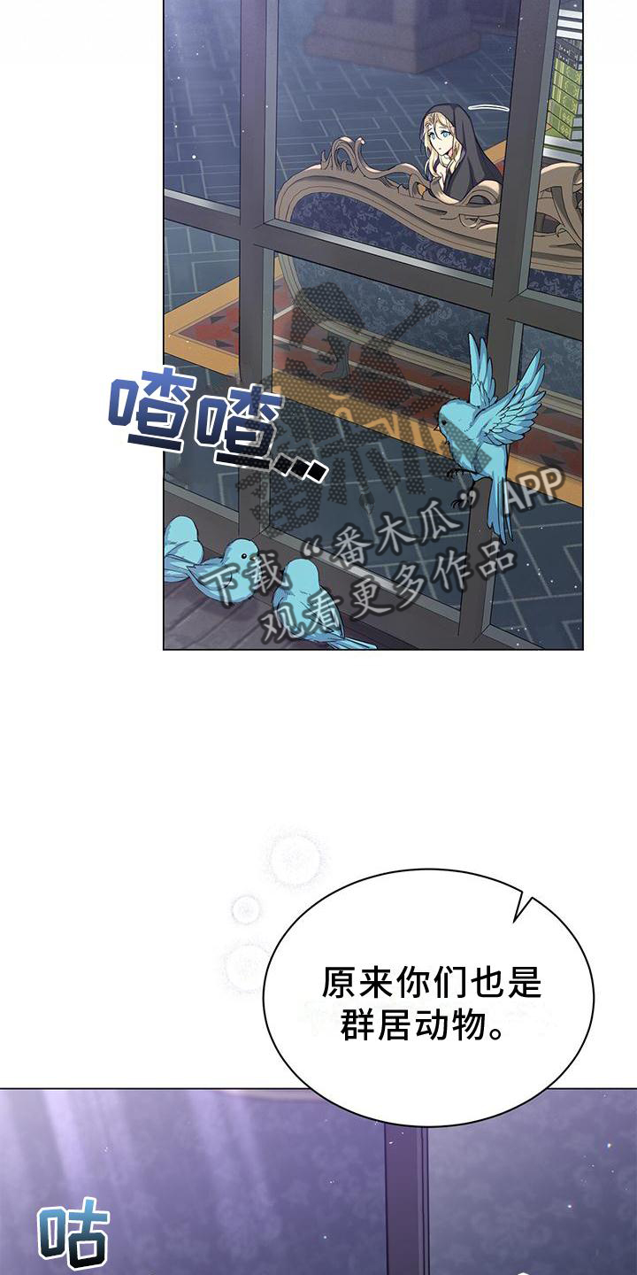 第41章：私会12