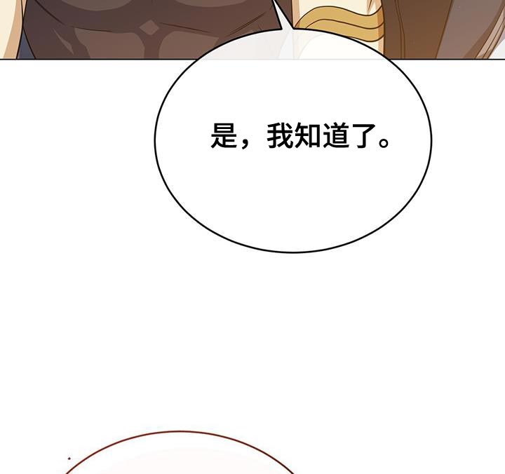 第95章：作战会议26