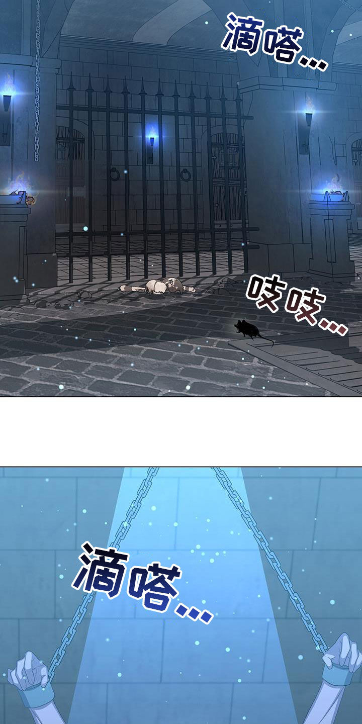 第61章：报仇31