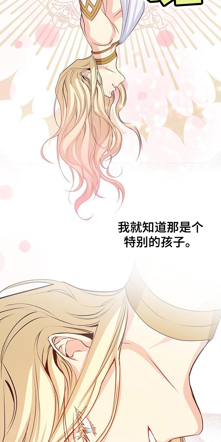 第95章：作战会议7