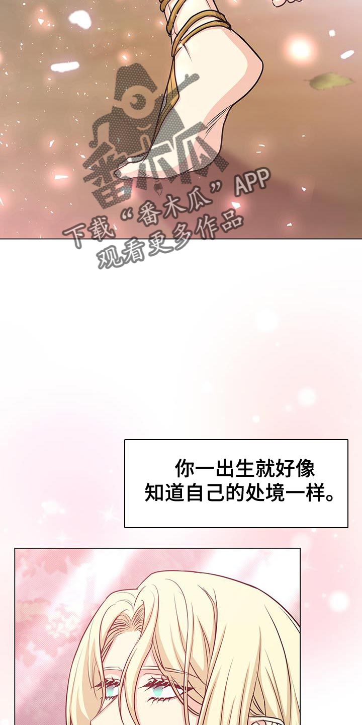 第95章：作战会议9
