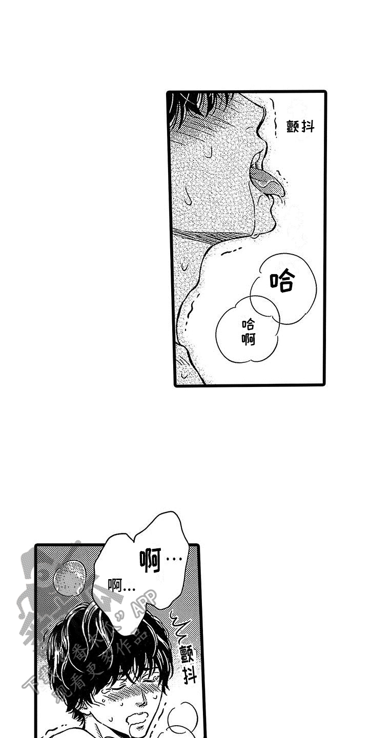 第15章：观看12