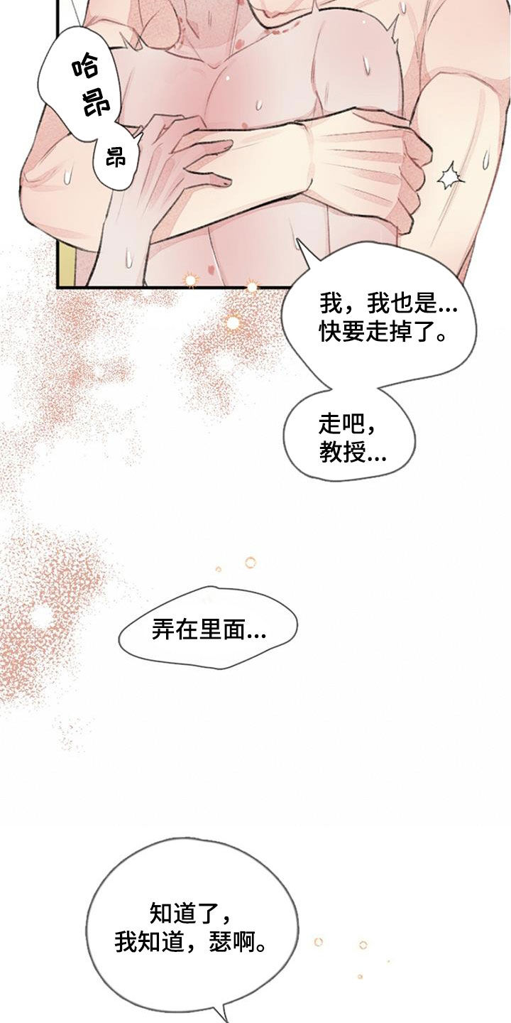 第53章： 幸福4