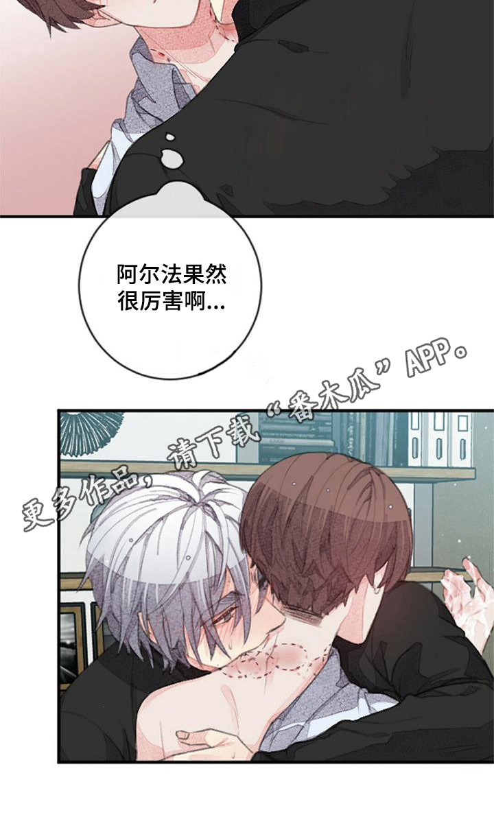 第13章：收尾价段4