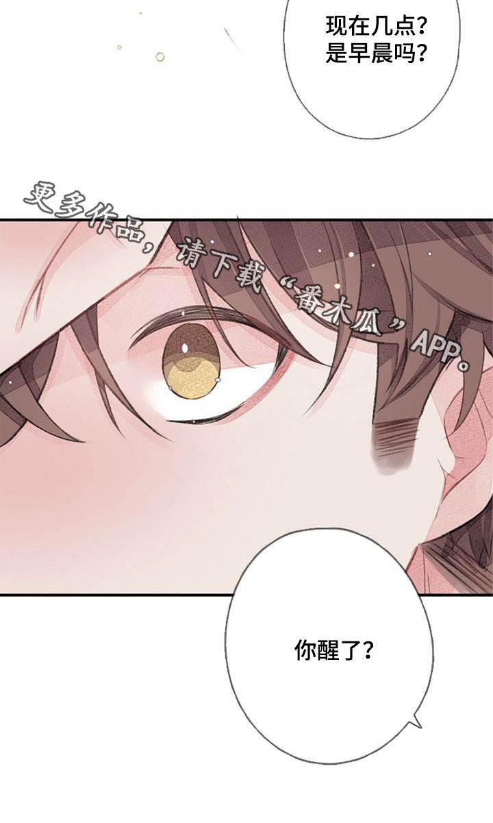第53章： 幸福26