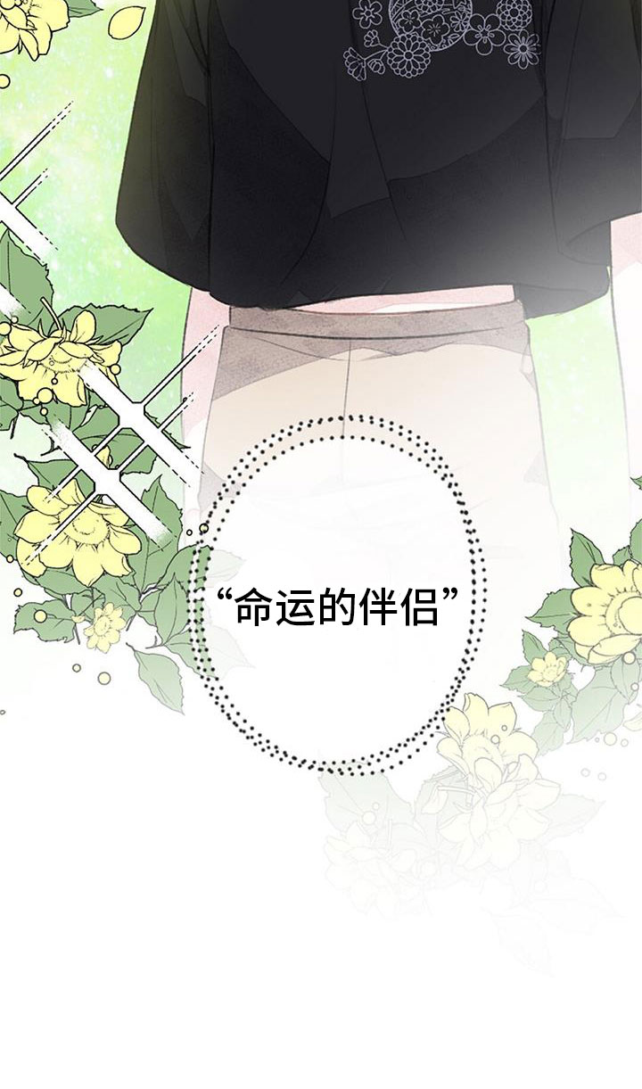 第34章：命运的伴侣22