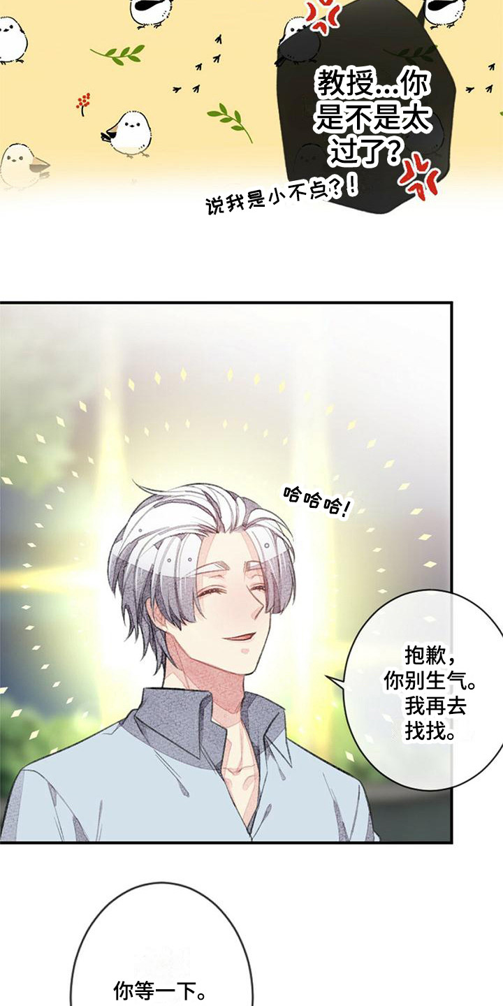 第22章：宽松17