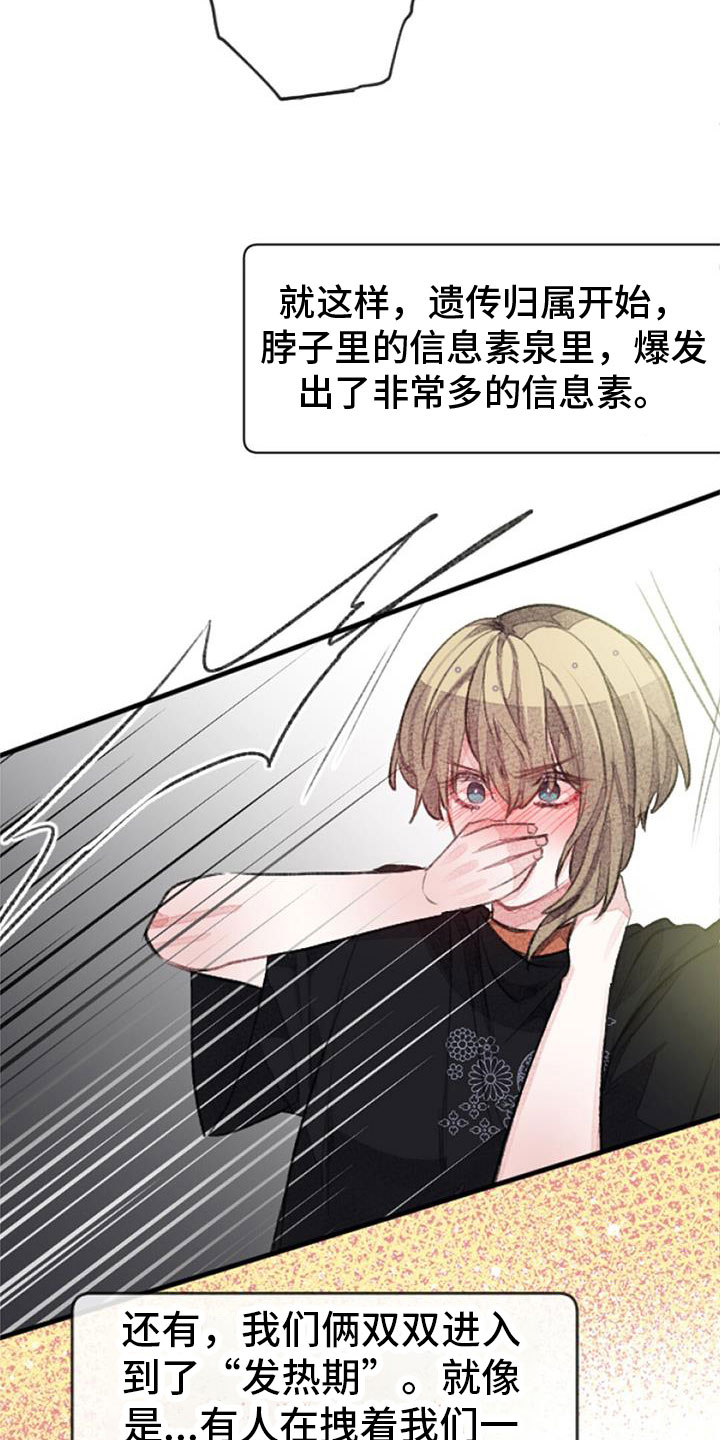 第34章：命运的伴侣28