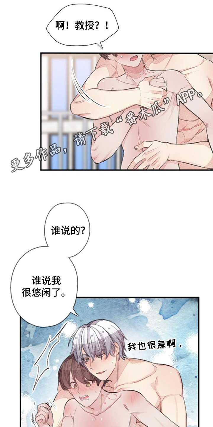 第53章： 幸福0