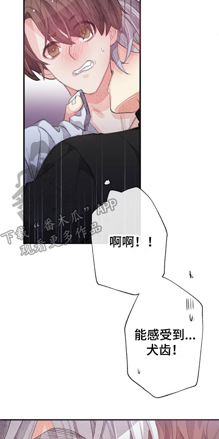 第11章：模拟标记16