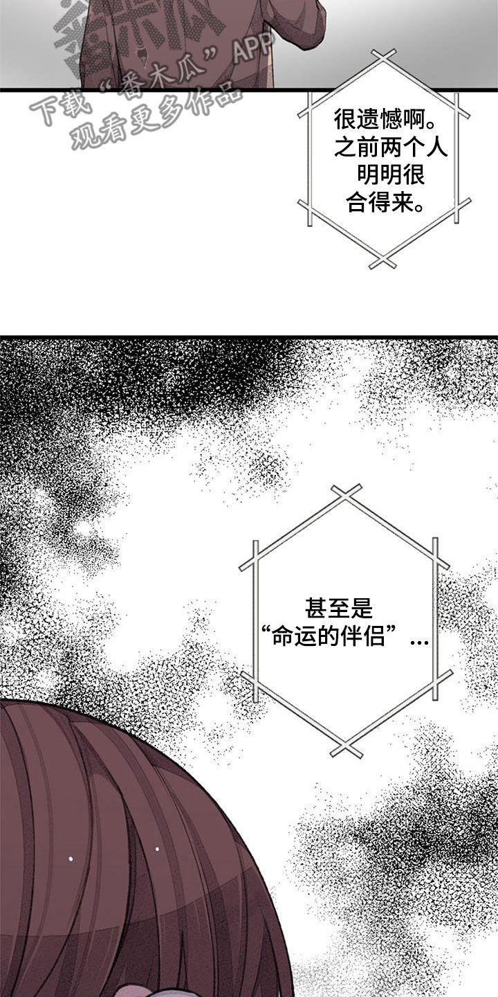 第55章：电话15