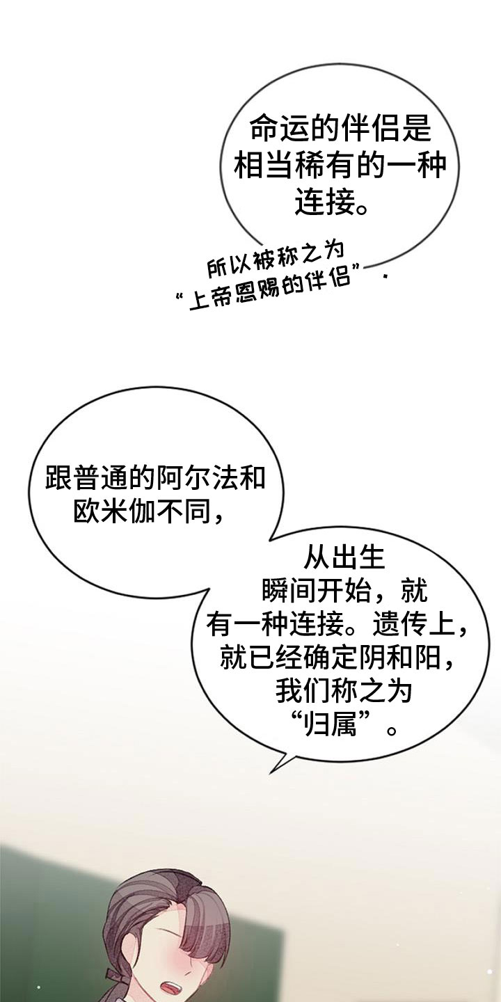 第34章：命运的伴侣23