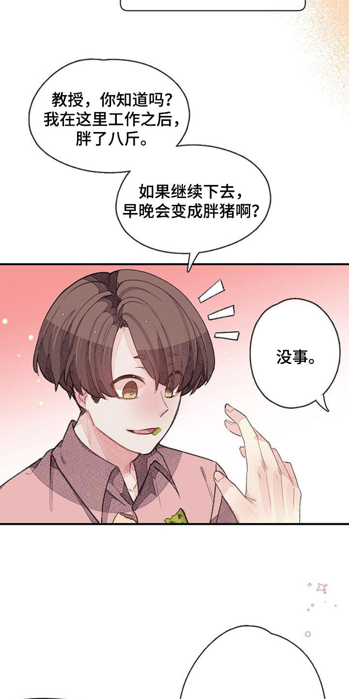 第38章：猜想1