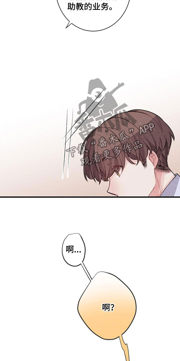 第44章：意料之外6