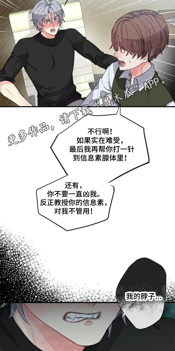 第10章：没有效果4